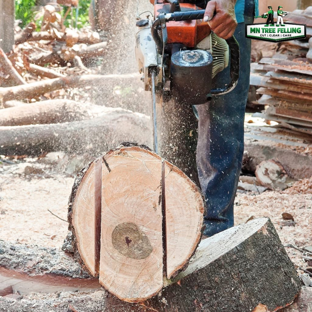 Chainsaw work trimming heavy branches on a tree